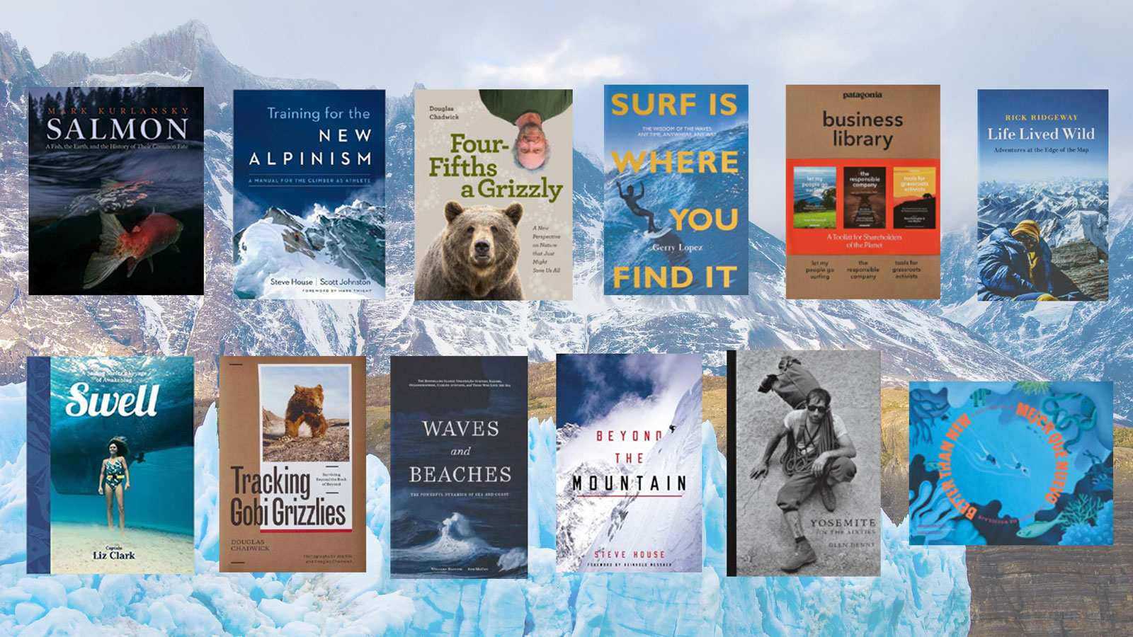 داستان های الهام بخش درباره حفظ محیط زیست برند پوشاک پاتاگونیا