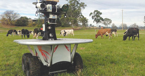 چوپانی و روبات‌های استرالیایی