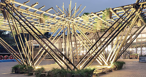 ساخت خانه درختی از شرکت معماری پاندا