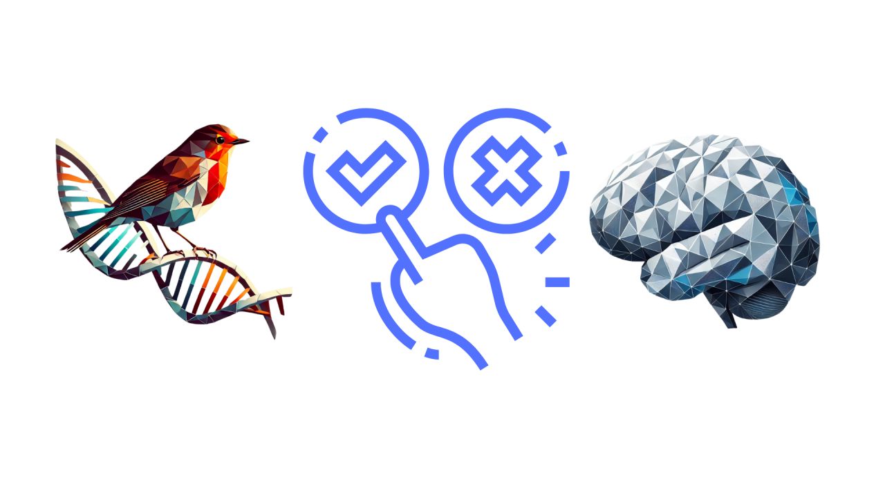 تبلیغات و میانبرهای ذهنی