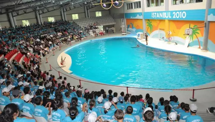 آشنایی با دلفیناریوم استانبول، تجربه&nbsp;ای متفاوت و جذاب در قلب ترکیه