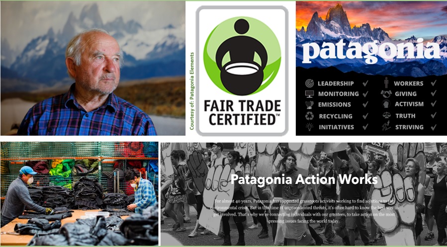 برندسازی سازمانی برند پاتاگونیا