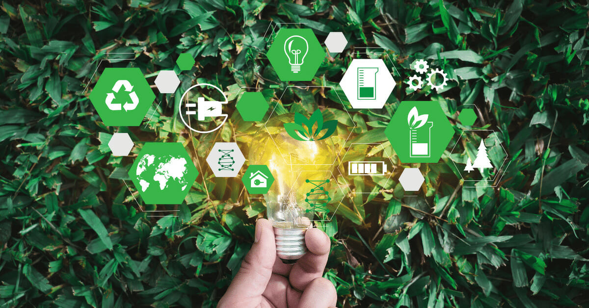 تمرکز بر تجارت پایدار و برندهای سبز