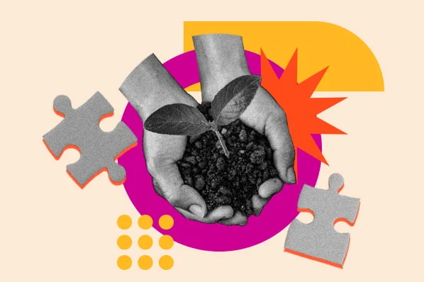 برندینگ قوی با تاکید بر ارزش های محلی