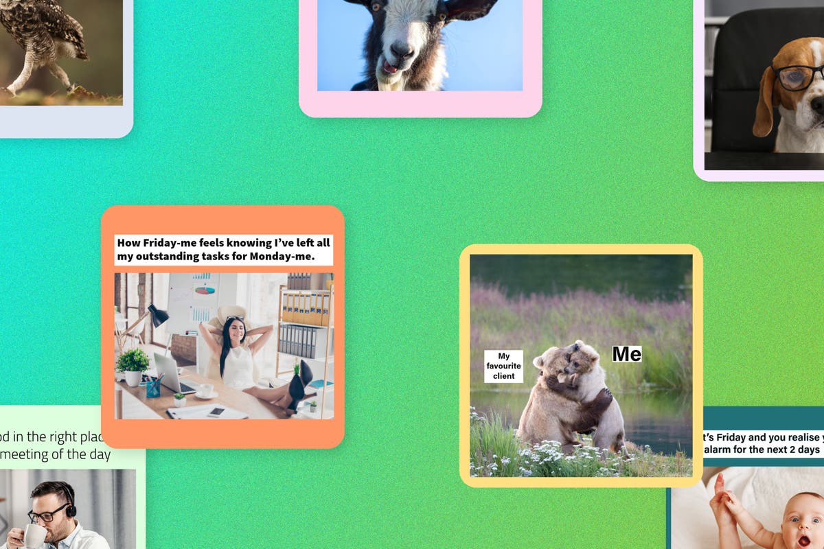 بازاریابی میم