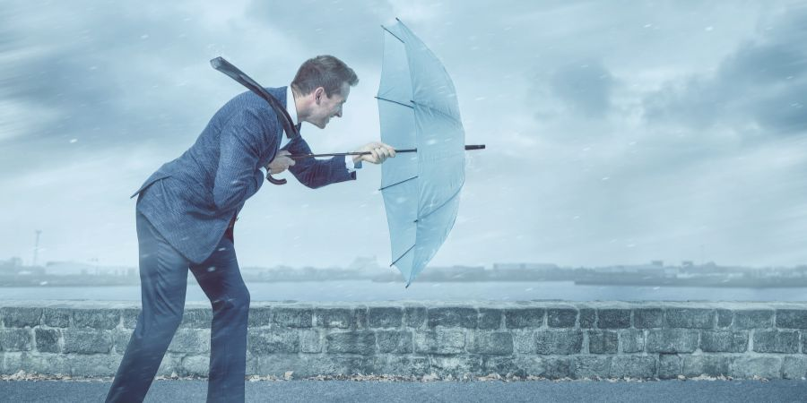 رهبر تجاری به مثابه ناظر