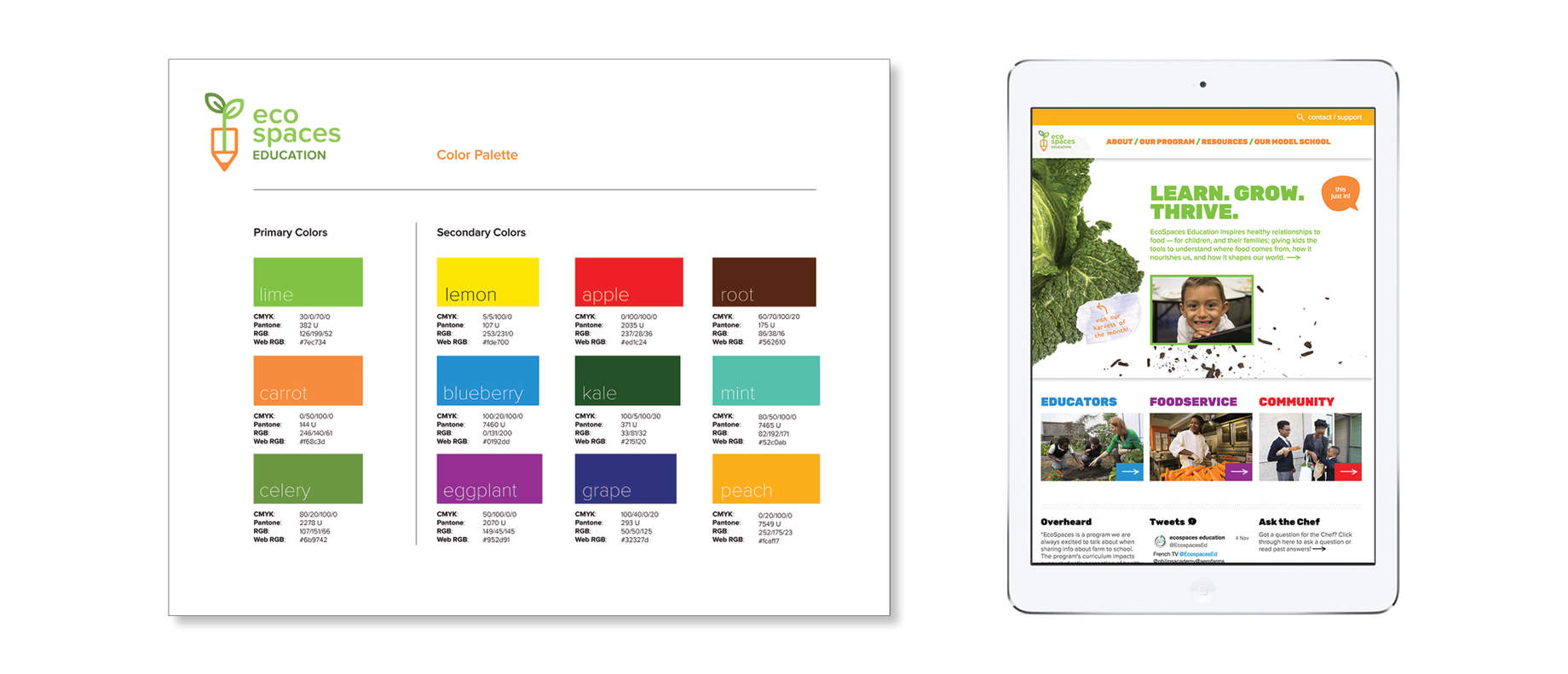 روانشناسی رنگ ها