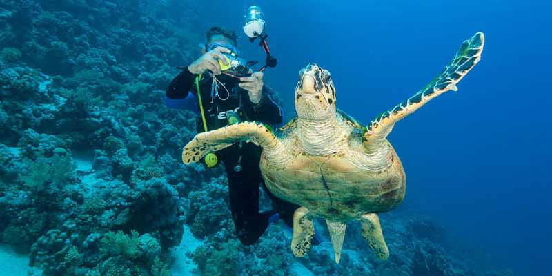 جاذبه&zwnj;های تور مالدیو